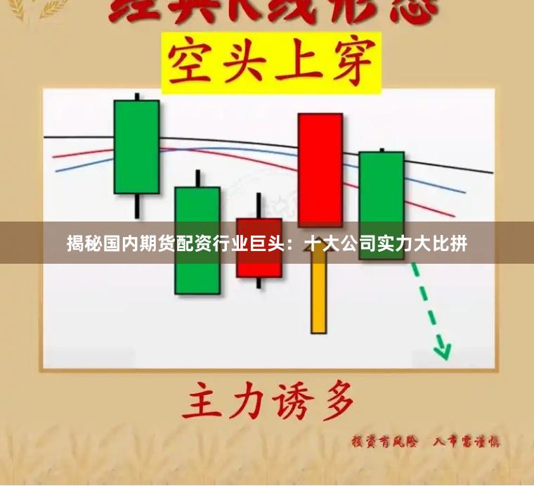 揭秘国内期货配资行业巨头：十大公司实力大比拼