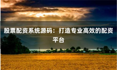 股票配资系统源码：打造专业高效的配资平台